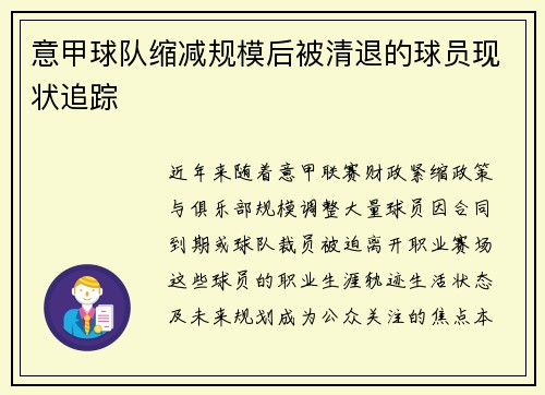 意甲球队缩减规模后被清退的球员现状追踪