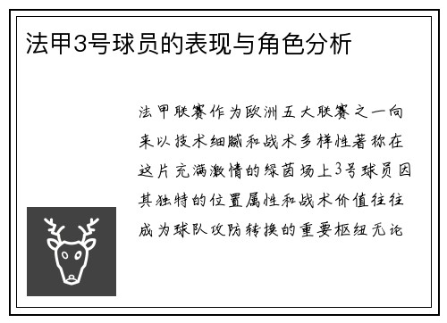 法甲3号球员的表现与角色分析